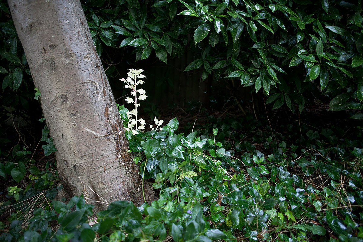 Gloucester, Gloster, Glotser